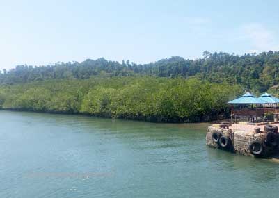 Baratang Island - Andaman