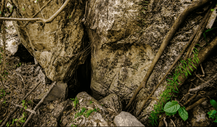 Alfred-Caves